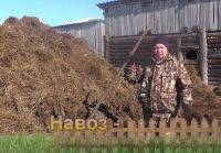 Навоз – подготовка перед внесением
